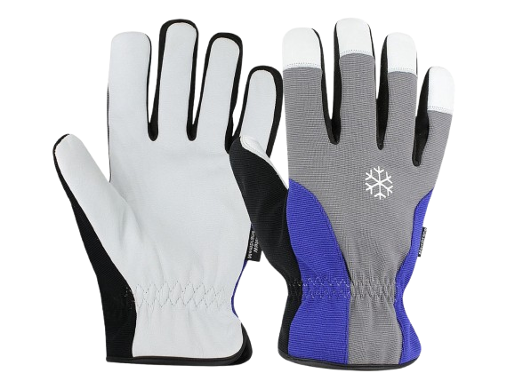Premium Winter Gloves